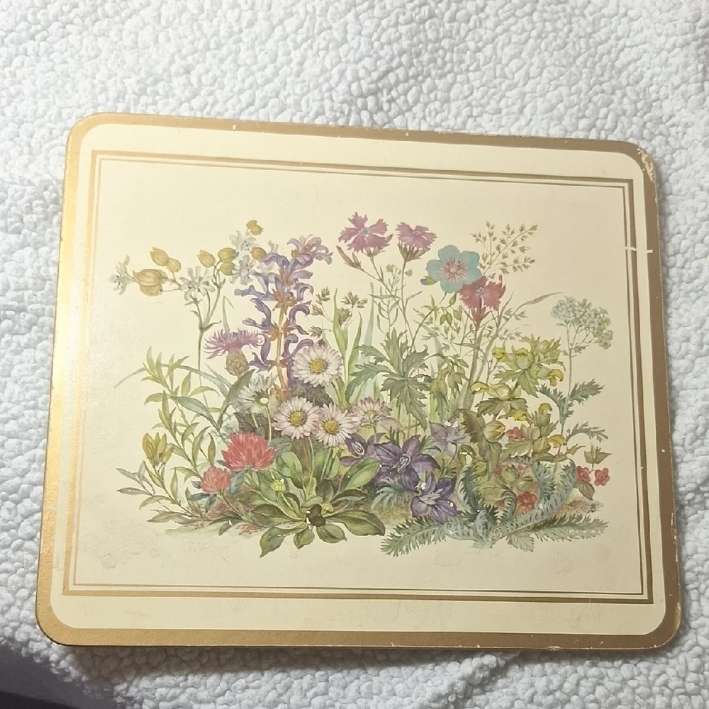 Floral Botanical Print Coasters